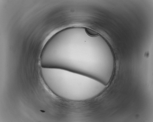 X0000114031428200910021030