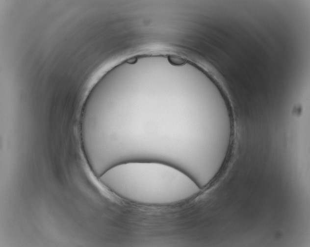 X0000114031429200910021030
