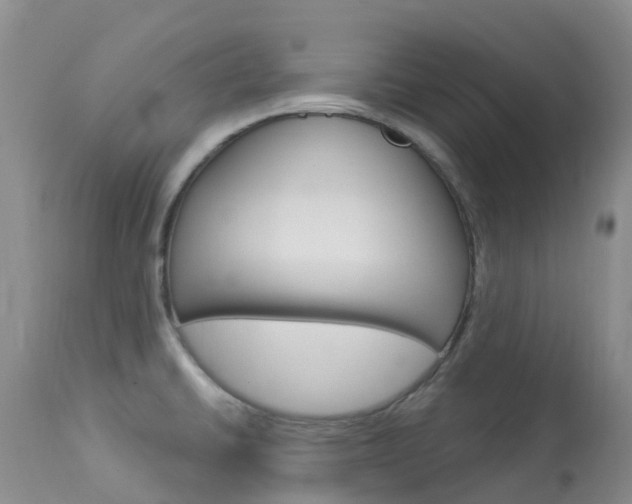 X0000114031430200910021030