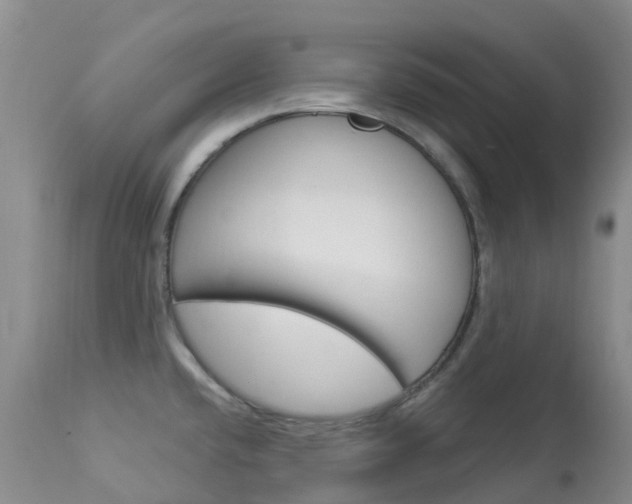 X0000114031432200910021030