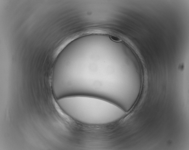 X0000114031433200910021030