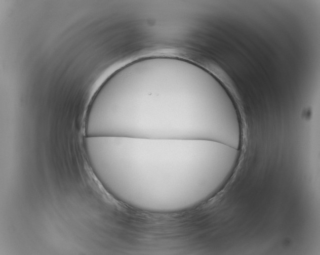 X0000114031436200910021030