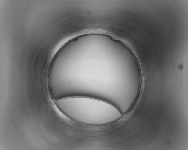 X0000114031438200910021030
