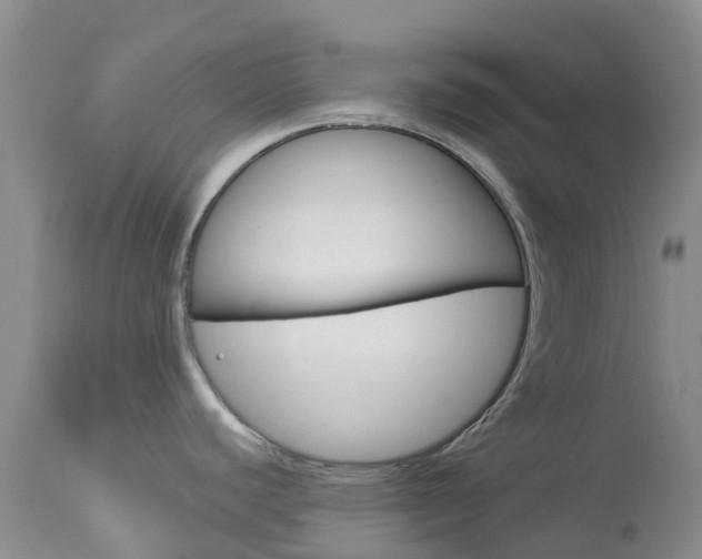 X0000114031440200910021030
