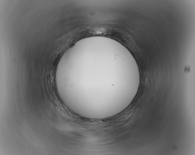 X0000114031442200910021029