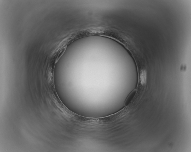 X0000114031444200910021029