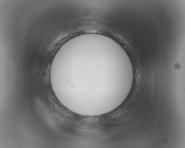 X0000114031446200910021029