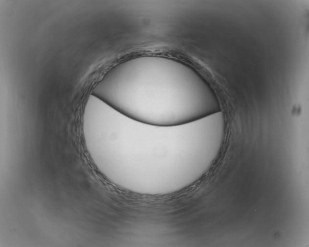 X0000114031447200910021029
