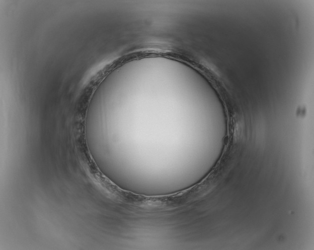 X0000114031448200910021029