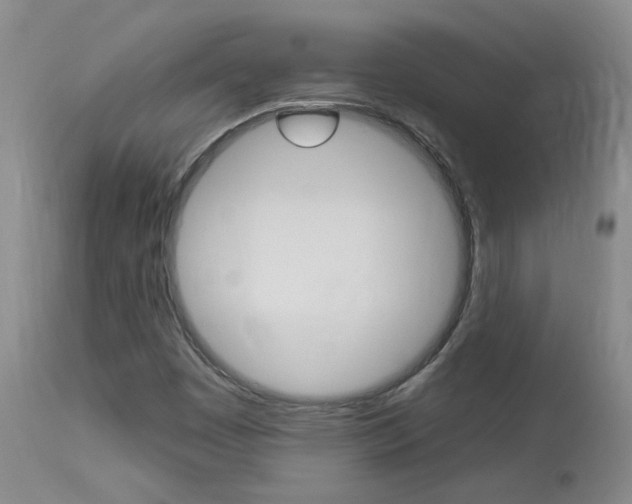 X0000114031449200910021029