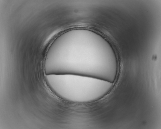 X0000114031450200910021029