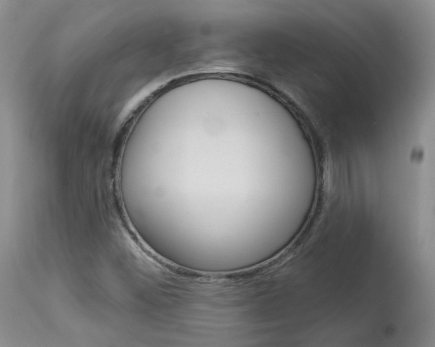 X0000114031452200910021029