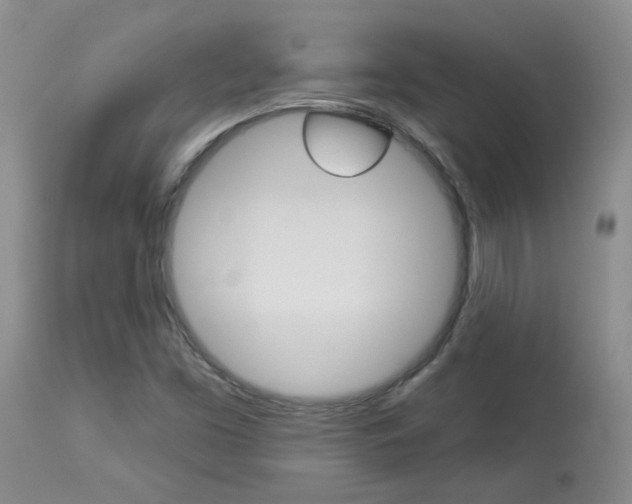 X0000114031453200910021029