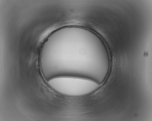 X0000114031455200910021029