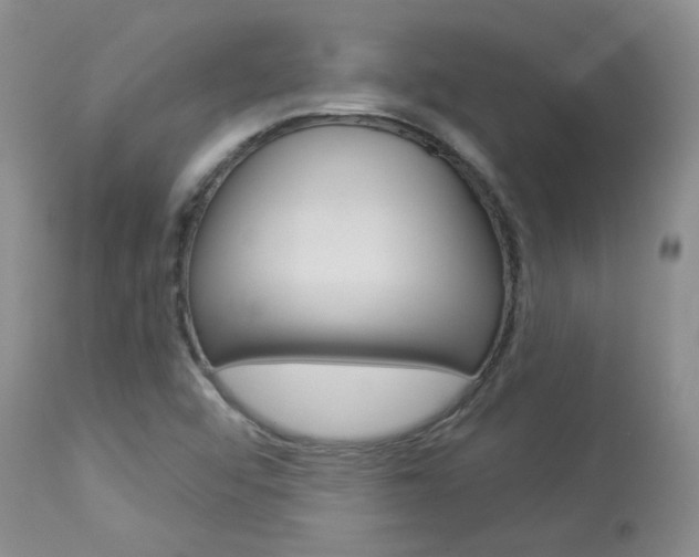X0000114031456200910021029