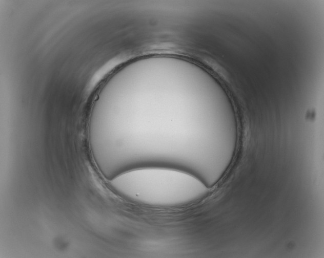 X0000114031458200910021029