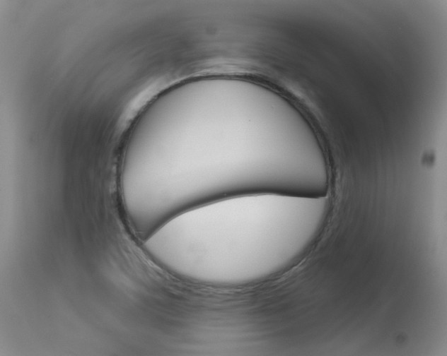 X0000114031459200910021029
