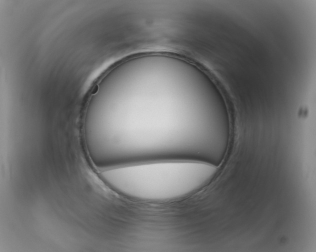 X0000114031460200910021029