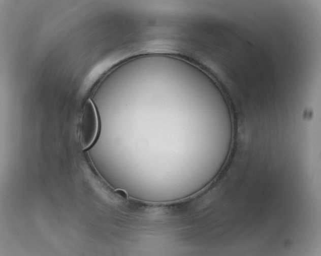 X0000114031461200910021029