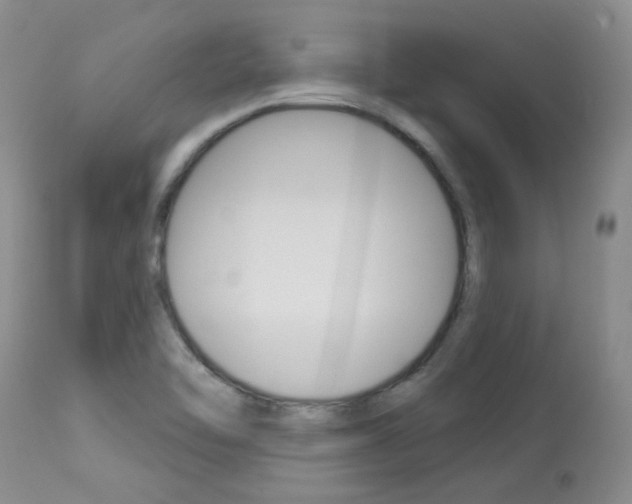 X0000114031462200910021029