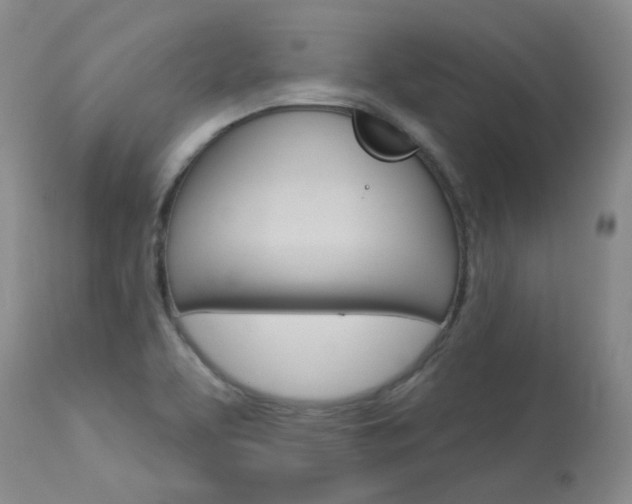 X0000114031463200910021029