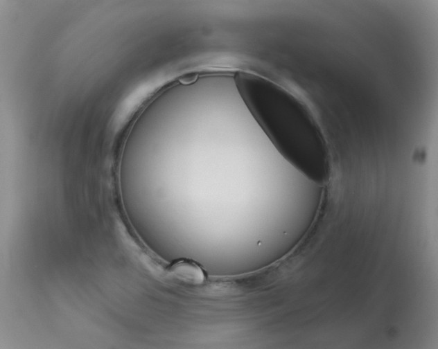 X0000114031464200910021029