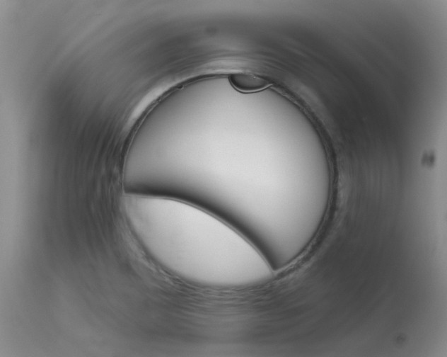 X0000114031465200910021029