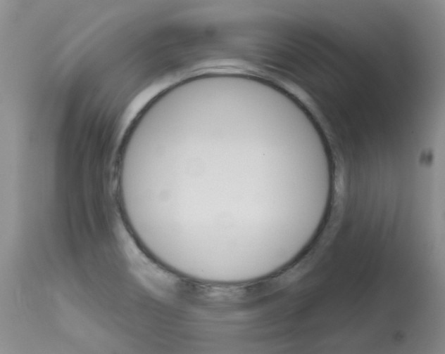 X0000114031466200910021029