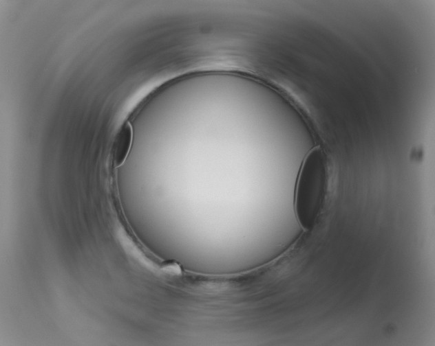 X0000114031468200910021029
