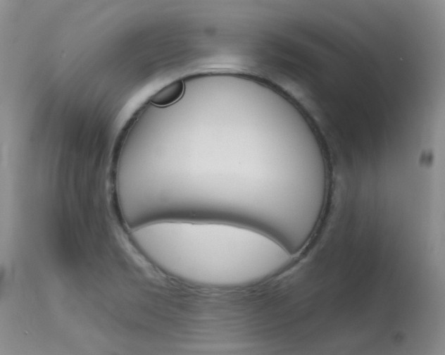 X0000114031469200910021029