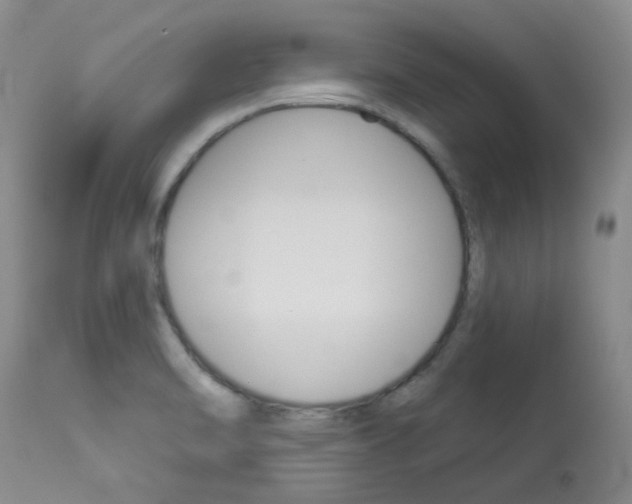 X0000114031470200910021029