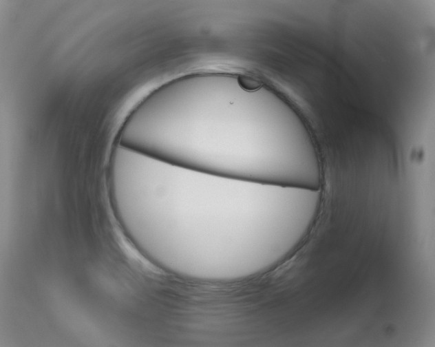 X0000114031471200910021029