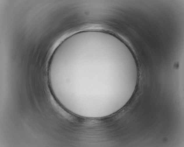 X0000114031475200910021029