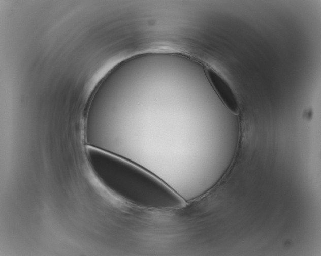 X0000114031476200910021029