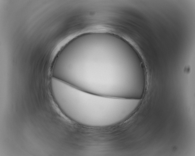 X0000114031477200910021029