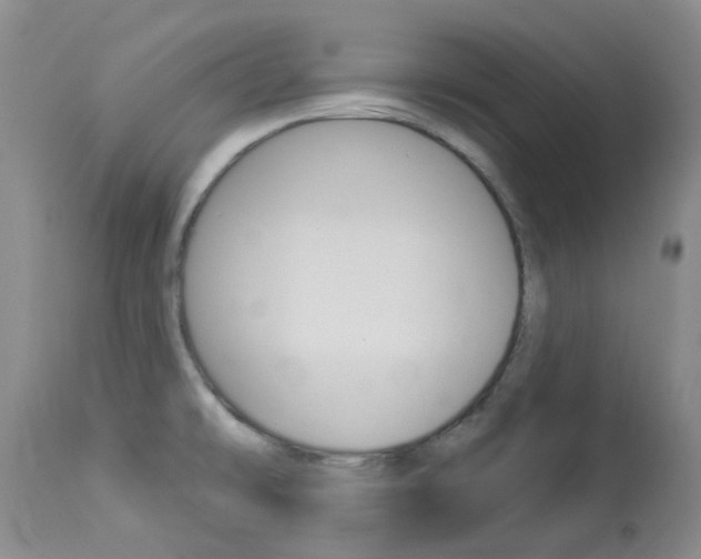 X0000114031478200910021029