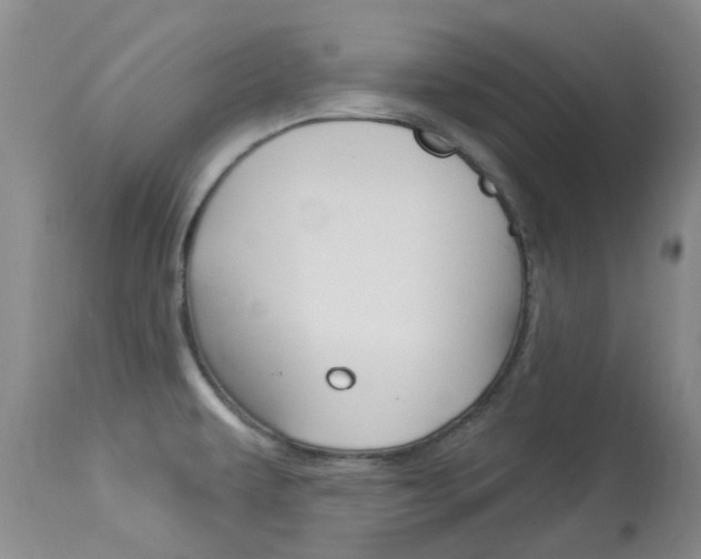 X0000114031479200910021029