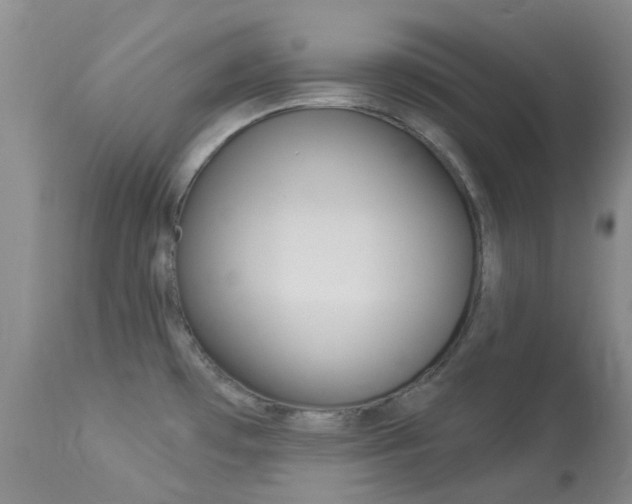 X0000114031481200910021028
