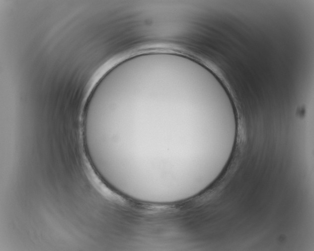 X0000114031482200910021028