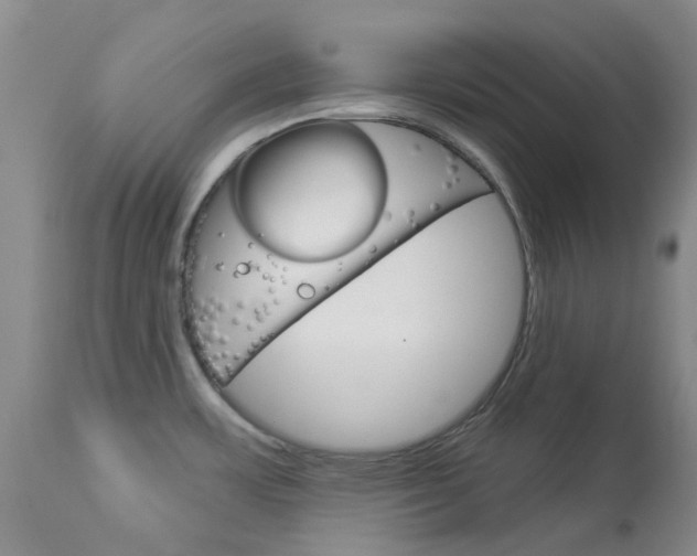X0000114031483200910021028
