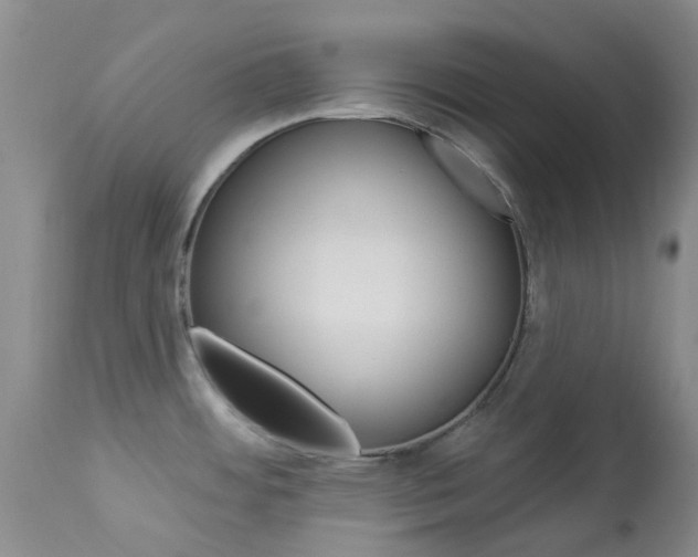 X0000114031484200910021028