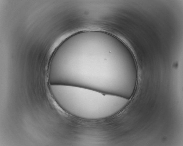 X0000114031485200910021028