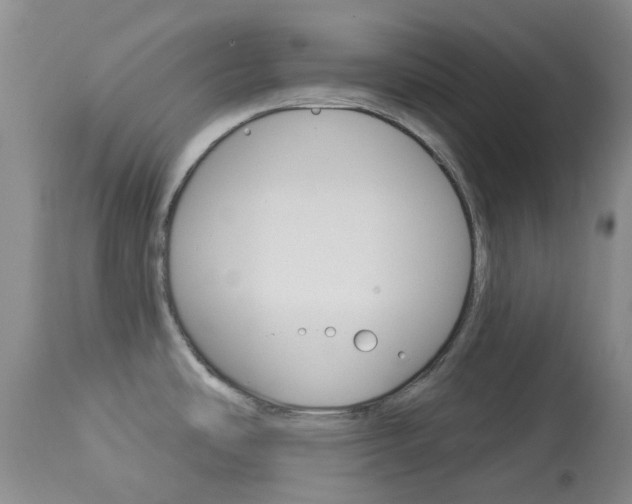 X0000114031486200910021028