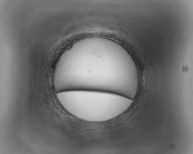 X0000114031493200910021028