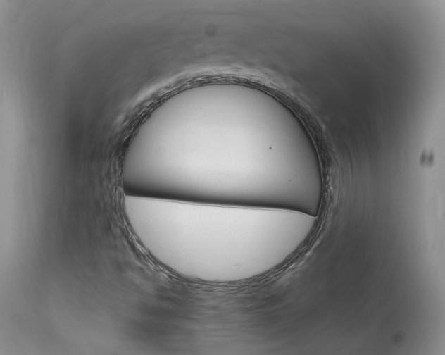 X0000114031494200910021028