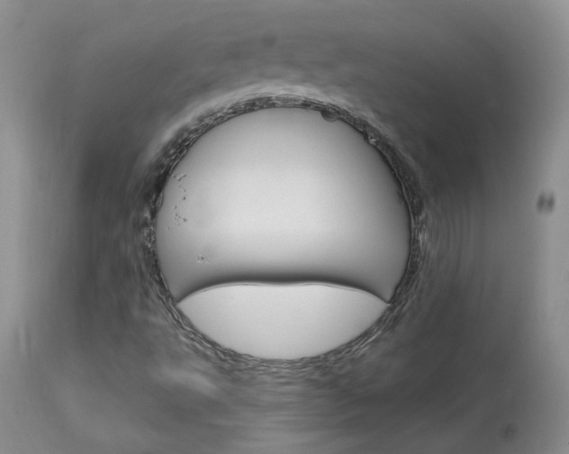 X0000114031495200910021028