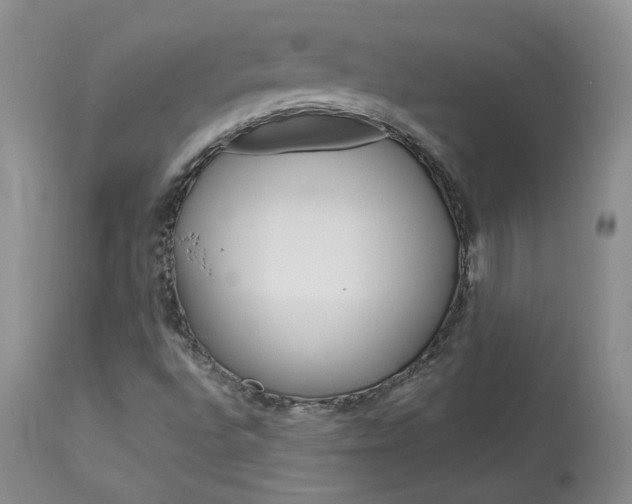 X0000114031496200910021028