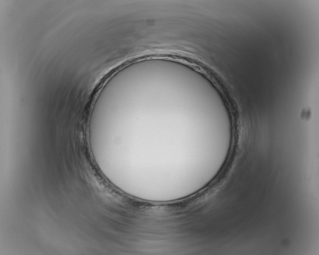 X0000114031497200910021028