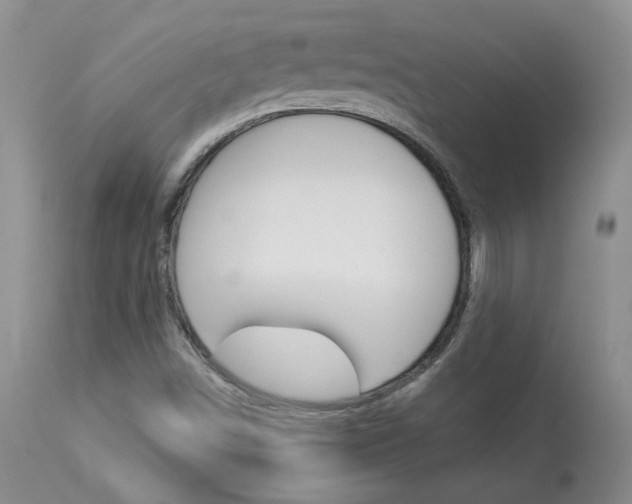 X0000114031498200910021028