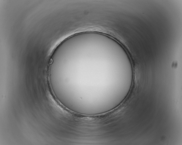 X0000114031500200910021028